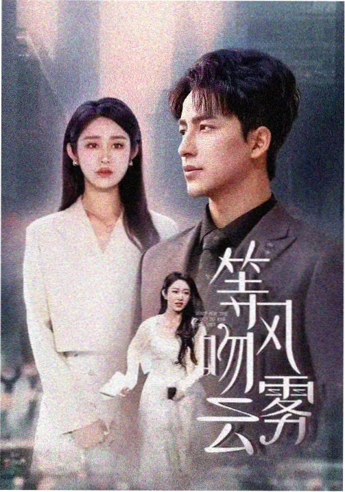 双面证词 草莓视频在线观看